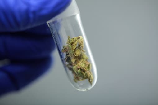 Evidenzbasierte Innovation