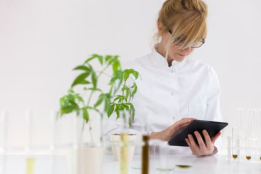 Genetik, Mutterpflanzen & Klonproduktion