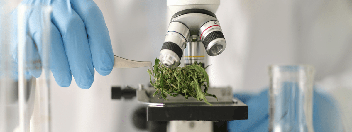 Precision-Grown Science-Led